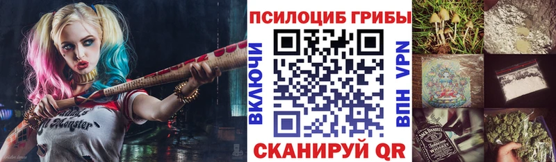 Псилоцибиновые грибы мицелий  Купить  Кыштым 